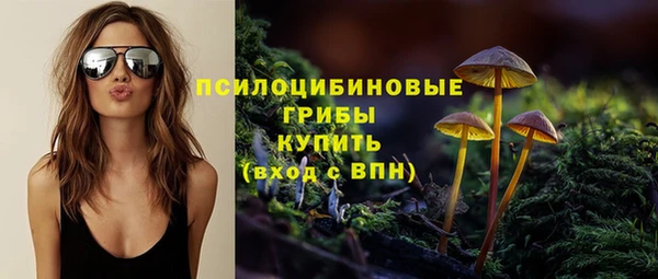 PSILOCYBIN Заволжск