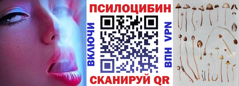 продажа наркотиков  Вилюйск  ОМГ ОМГ рабочий сайт  Псилоцибиновые грибы GOLDEN TEACHER 